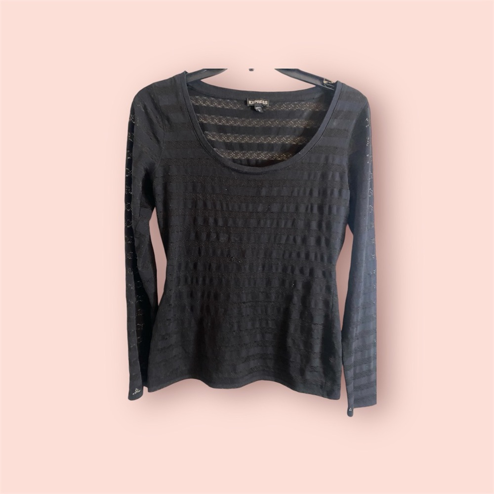 Express Sheer Long Sleeve Shirt
